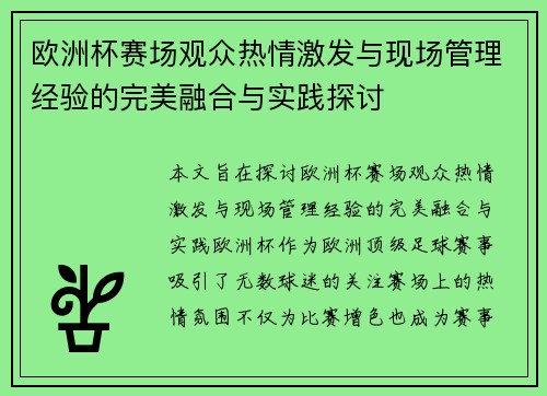 欧洲杯赛场观众热情激发与现场管理经验的完美融合与实践探讨